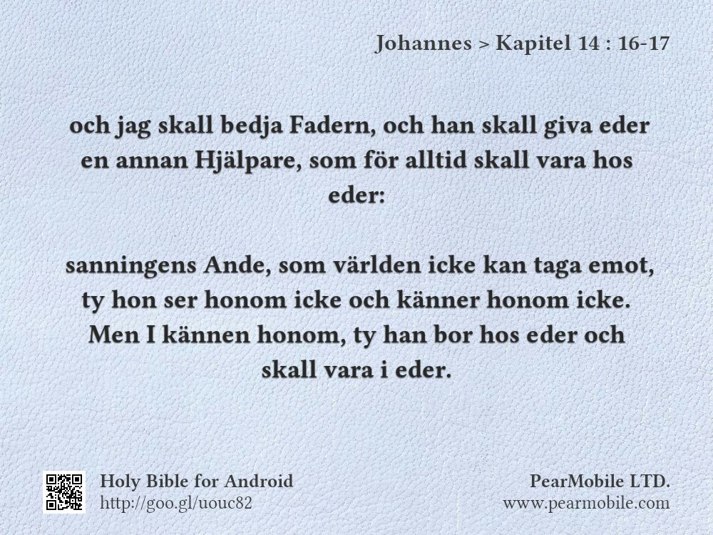 Johannes, Kapitel 14:16-17